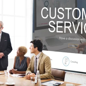 delivering customer centric excellence-dev logistic